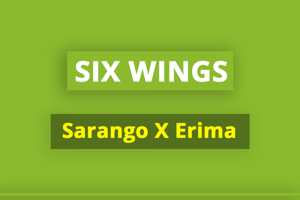 header-beitrag-erima-six-wings